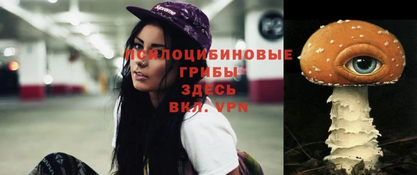 мескалин Богданович