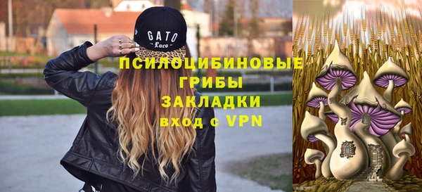 прущая мука Богородицк