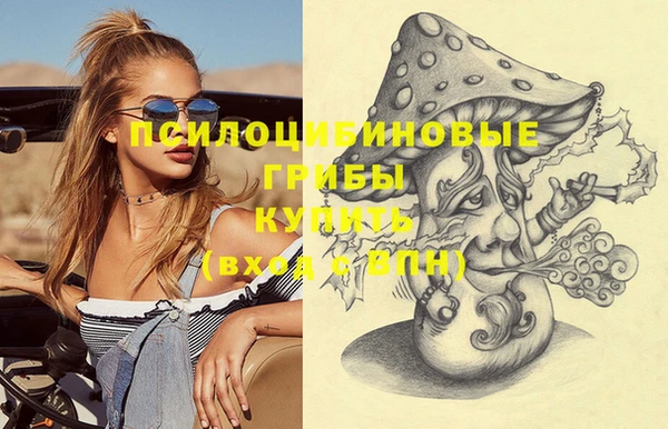 прущая мука Богородицк