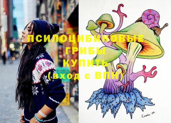 PSILOCYBIN Богородск